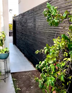 Cortavista Quiebravistas