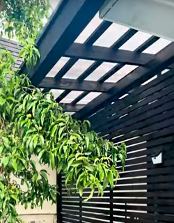 Cobertizos, Logias y Terrazas